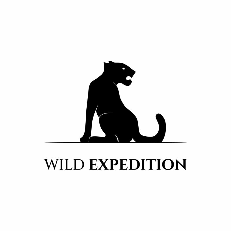 Wild Expedition logo