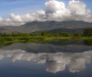 Laguna de Sonso (IBA)