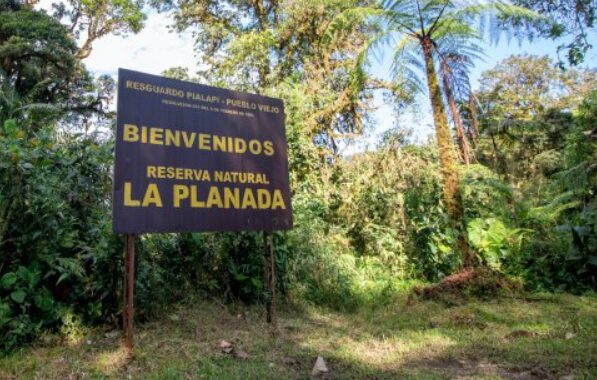 La Planada Natural Reserve - Wild Expedition