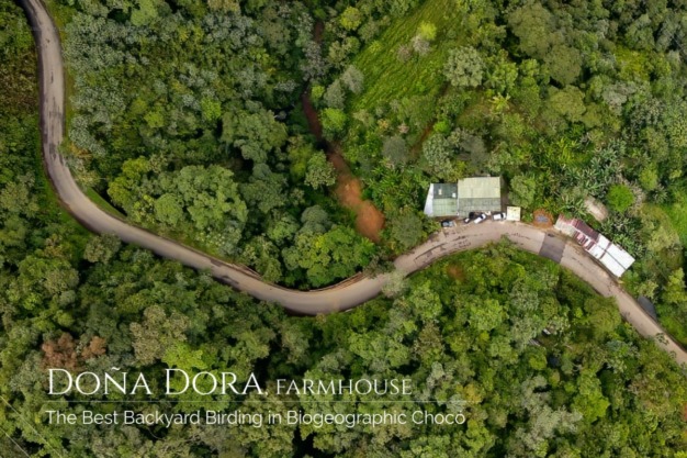Doña Dora, farmhouse