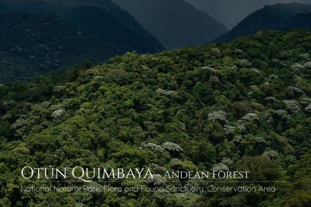 Otun Quimbaya, Flora and Fauna Sanctuary