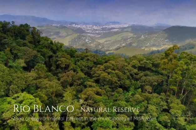 Rio Blanco, Natural Reserve