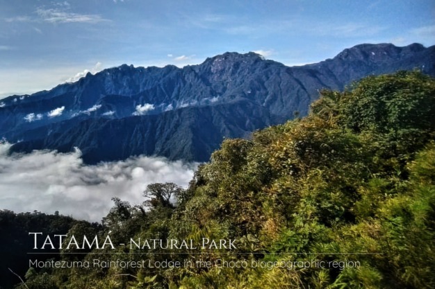 Parque Natural Nacional de Tatama
