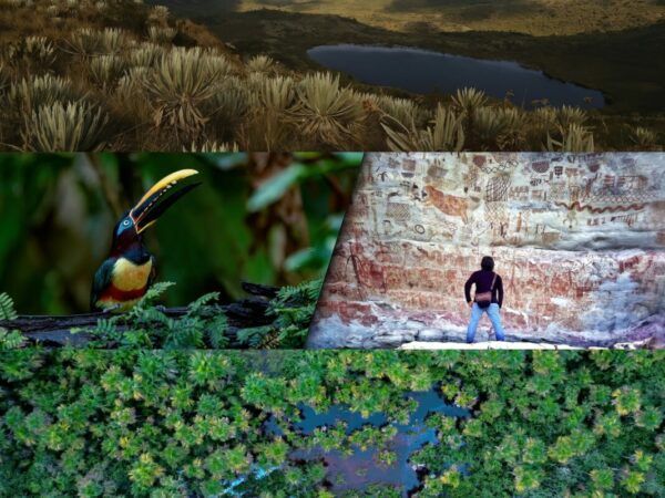Chingaza e Guaviare, explorando a biodiversidade da Colômbia