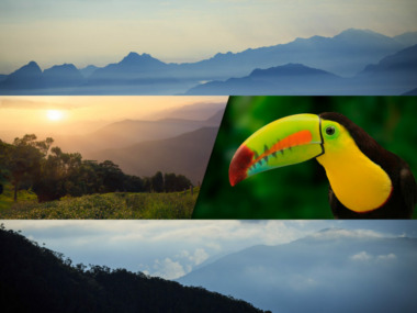 WE Trilha de observação de aves do norte da Colômbia