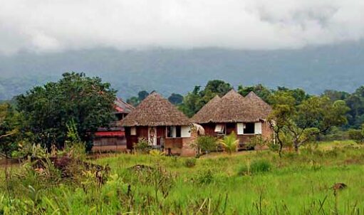 Surama